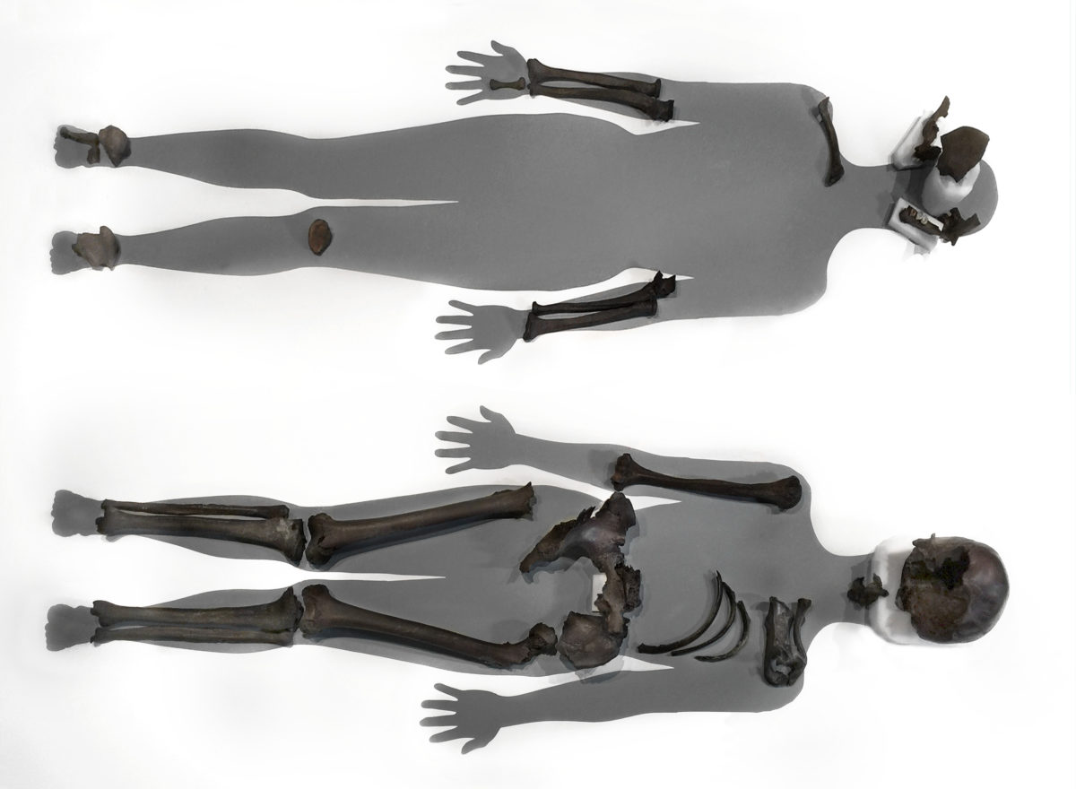 Skjelettene av Oseberg-kvinnene. Foto: Lill Ann Chepstow-Lusty, Kulturhistorisk Museum, UiO.
