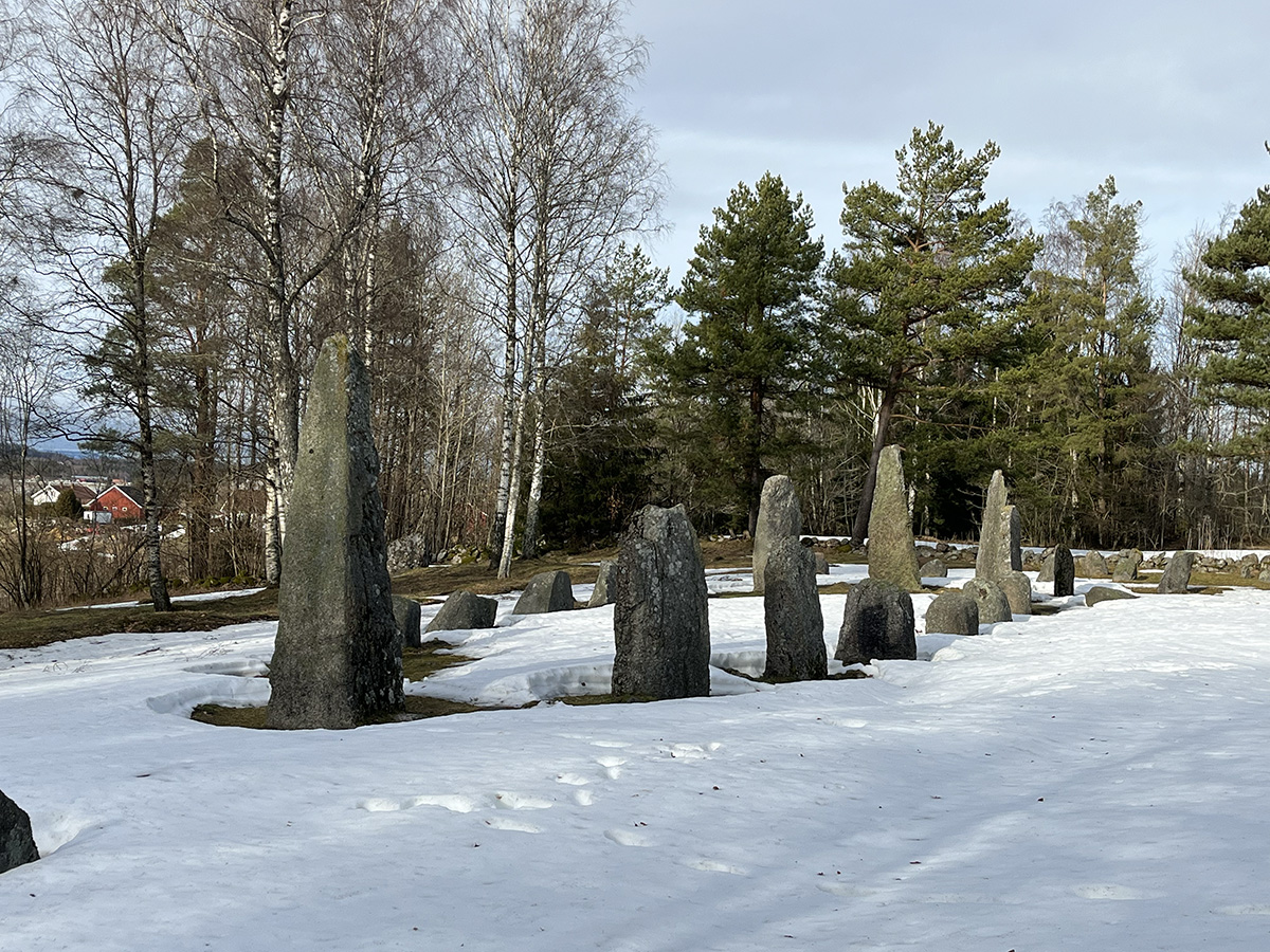 Istrehågan Vinter<br />
Foto: Ragnar Orten Lie